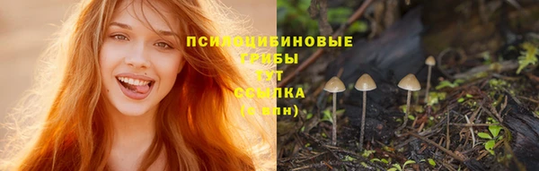 экстази Арсеньев
